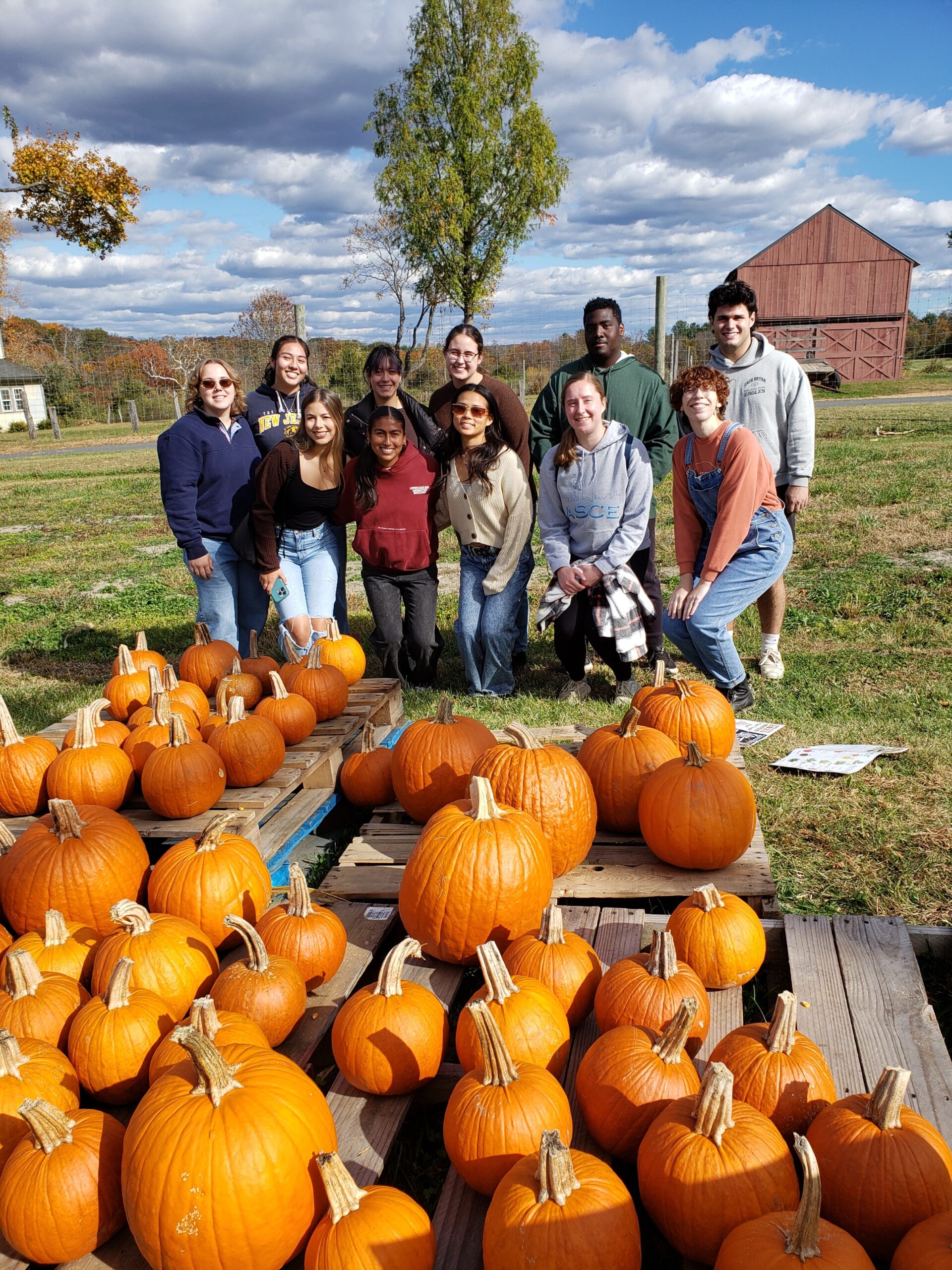 A group of students stand behind a platform filled with pumpkins of various sizes.