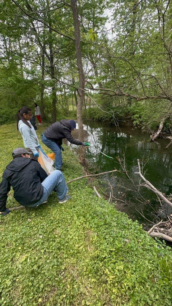 Three people trying to reach for a piece of trash stuck on a tree branch.