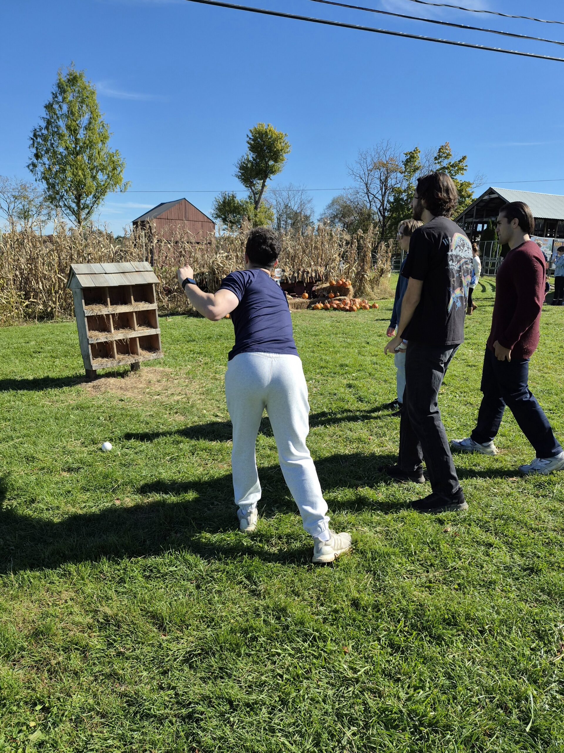 Four male students are tossing balls into a structure that has 9 cubbies.